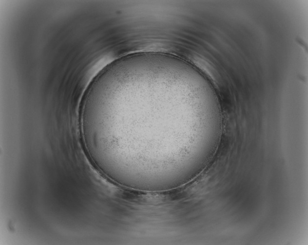 X0000098141087200804241708