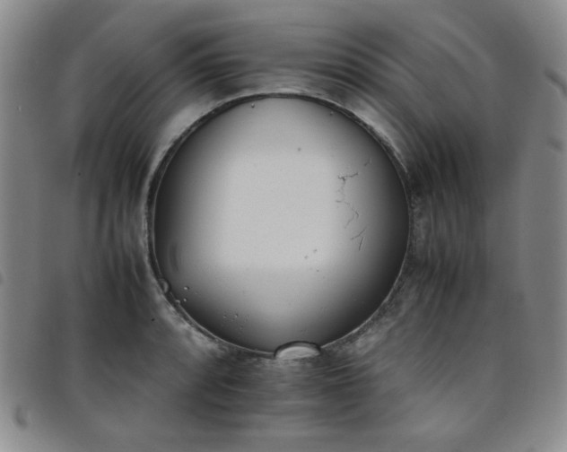 X0000098141088200804241708