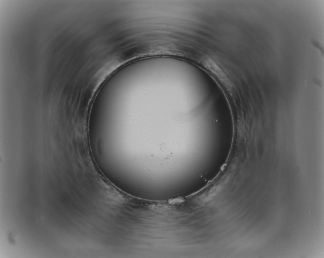 X0000098141089200804241708