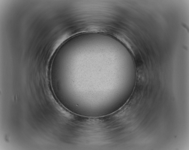 X0000098141091200804241708