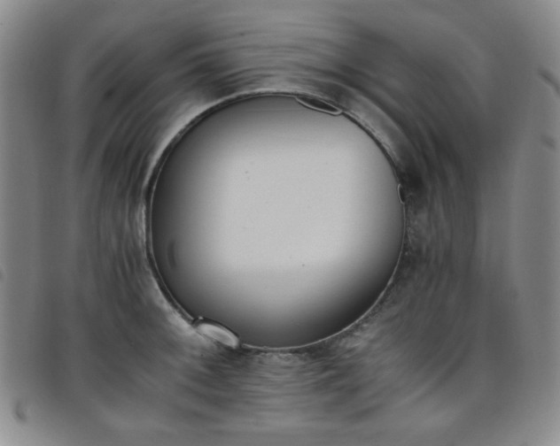 X0000098141092200804241708