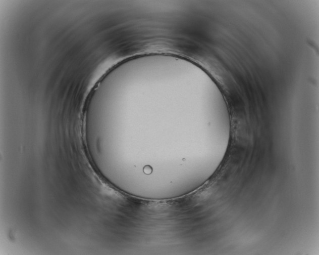X0000098141094200804241708
