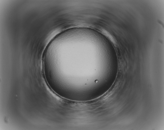 X0000098141095200804241708