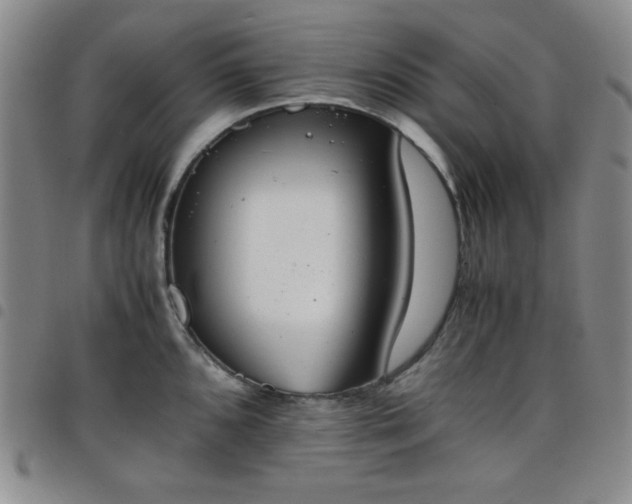 X0000098141096200804241708