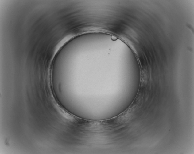 X0000098141098200804241708
