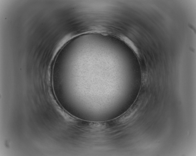 X0000098141099200804241708