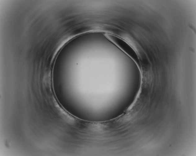 X0000098141100200804241708