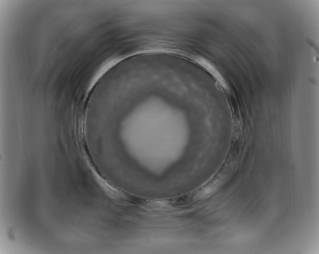 X0000098141101200804241708