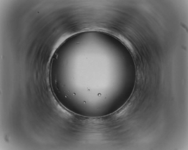 X0000098141102200804241708