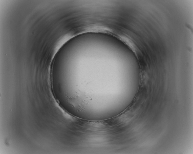 X0000098141103200804241708