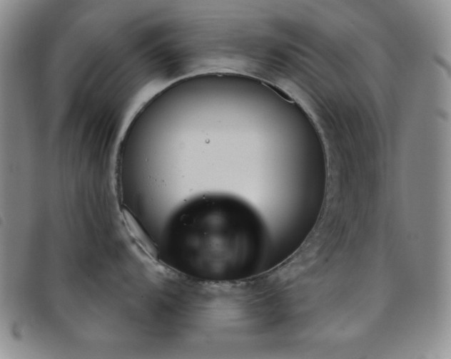 X0000098141104200804241708