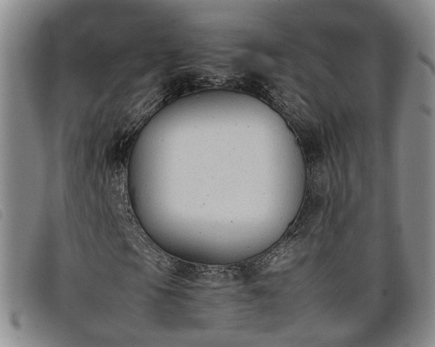 X0000098141105200804241707