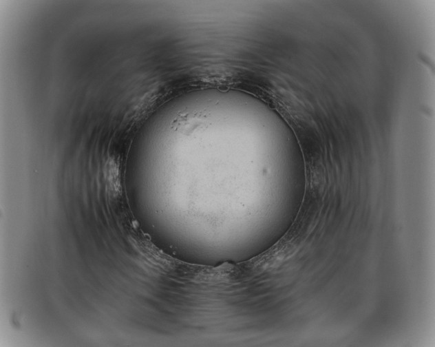 X0000098141106200804241707