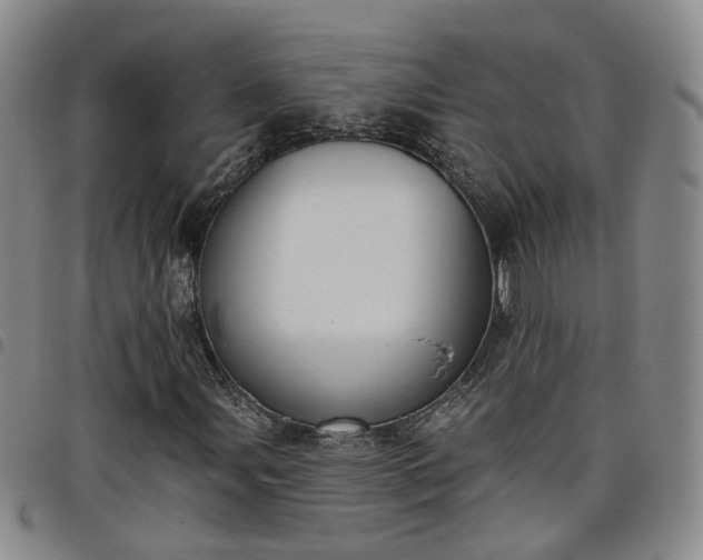 X0000098141107200804241707