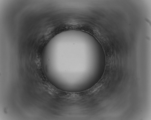 X0000098141109200804241707
