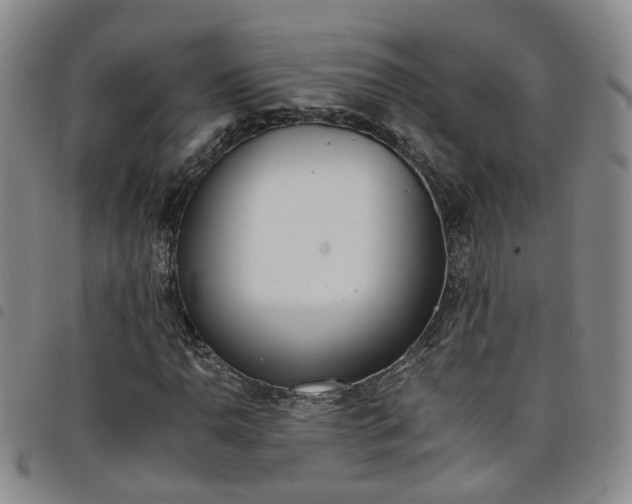 X0000098141110200804241707