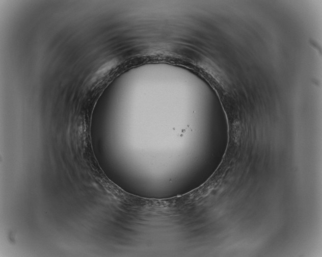 X0000098141111200804241707