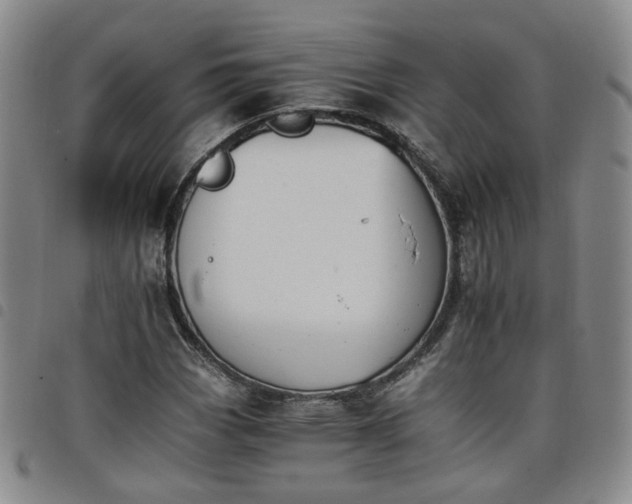 X0000098141113200804241708
