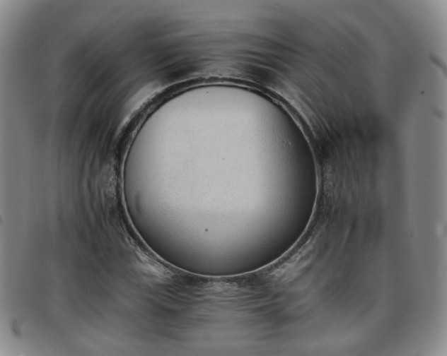 X0000098141115200804241708