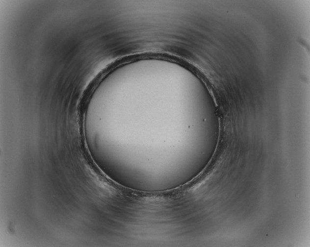 X0000098141118200804241708