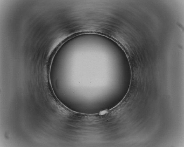 X0000098141120200804241708