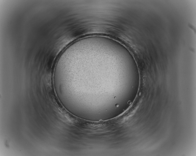 X0000098141121200804241708