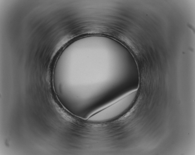 X0000098141122200804241708