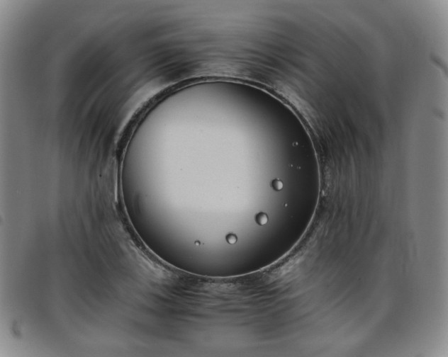 X0000098141123200804241708