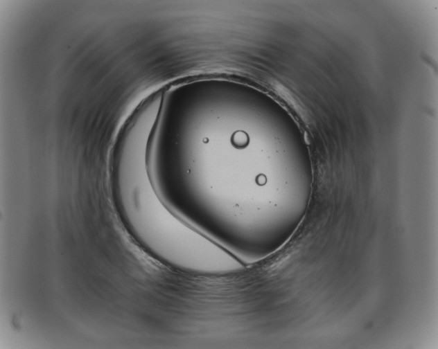 X0000098141124200804241708