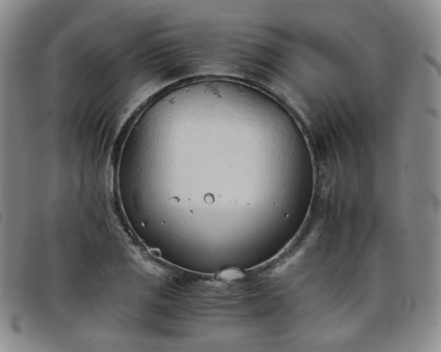 X0000098141125200804241708