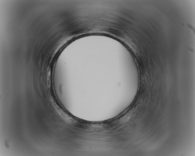 X0000098141126200804241708