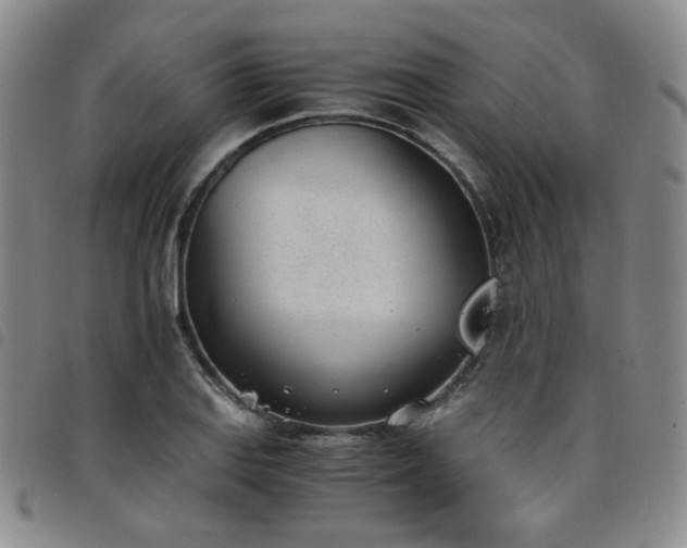 X0000098141127200804241708