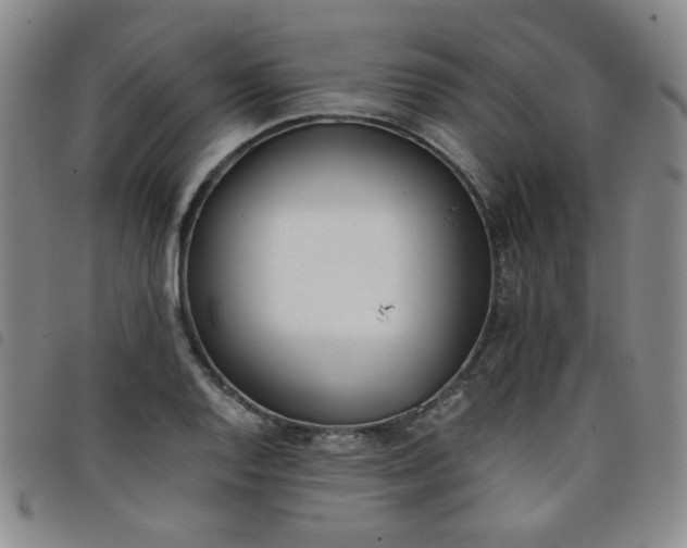 X0000098141128200804241708