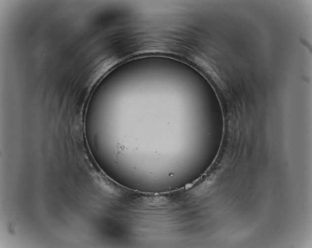 X0000098141129200804241708