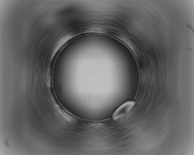 X0000098141131200804241708