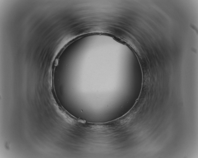 X0000098141132200804241708