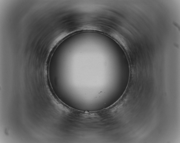 X0000098141133200804241708