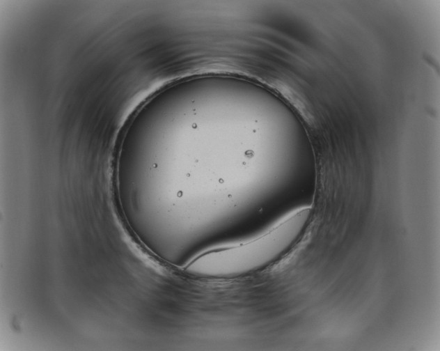 X0000098141134200804241708