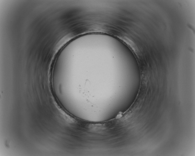 X0000098141135200804241708