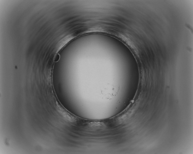 X0000098141137200804241708