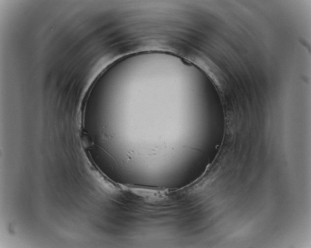 X0000098141140200804241708