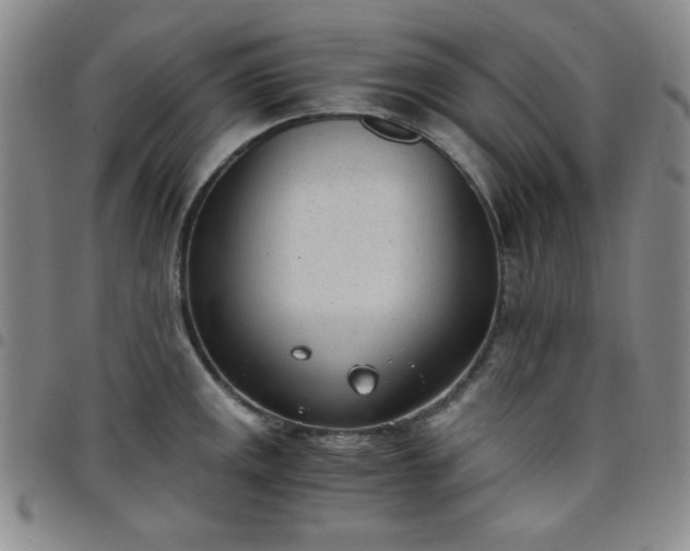 X0000098141141200804241708