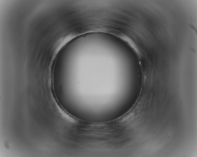 X0000098141143200804241708