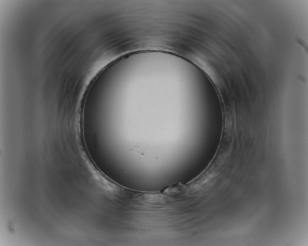 X0000098141144200804241708