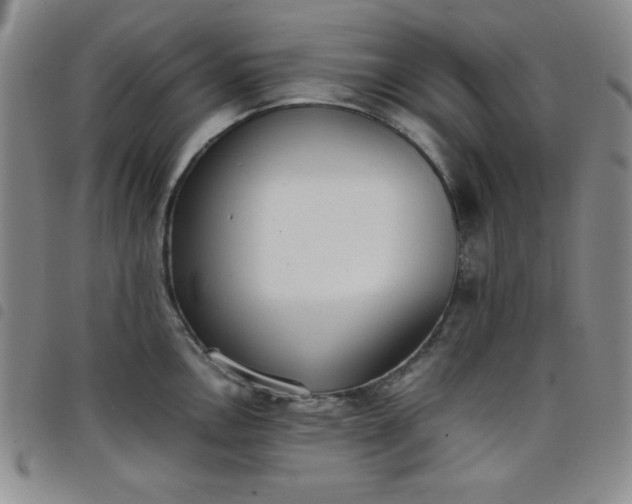 X0000098141146200804241708