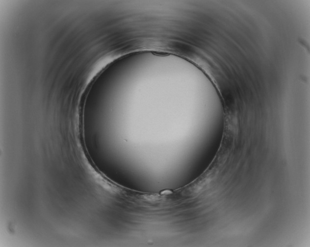 X0000098141147200804241708