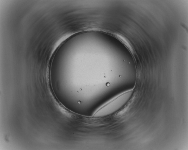 X0000098141149200804241708