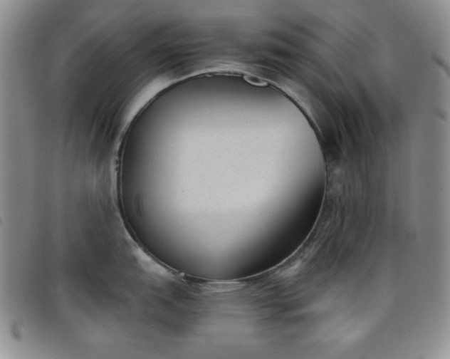 X0000098141151200804241708