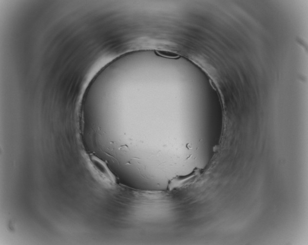 X0000098141152200804241708