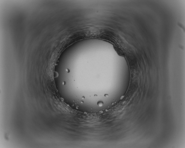 X0000098141153200804241707